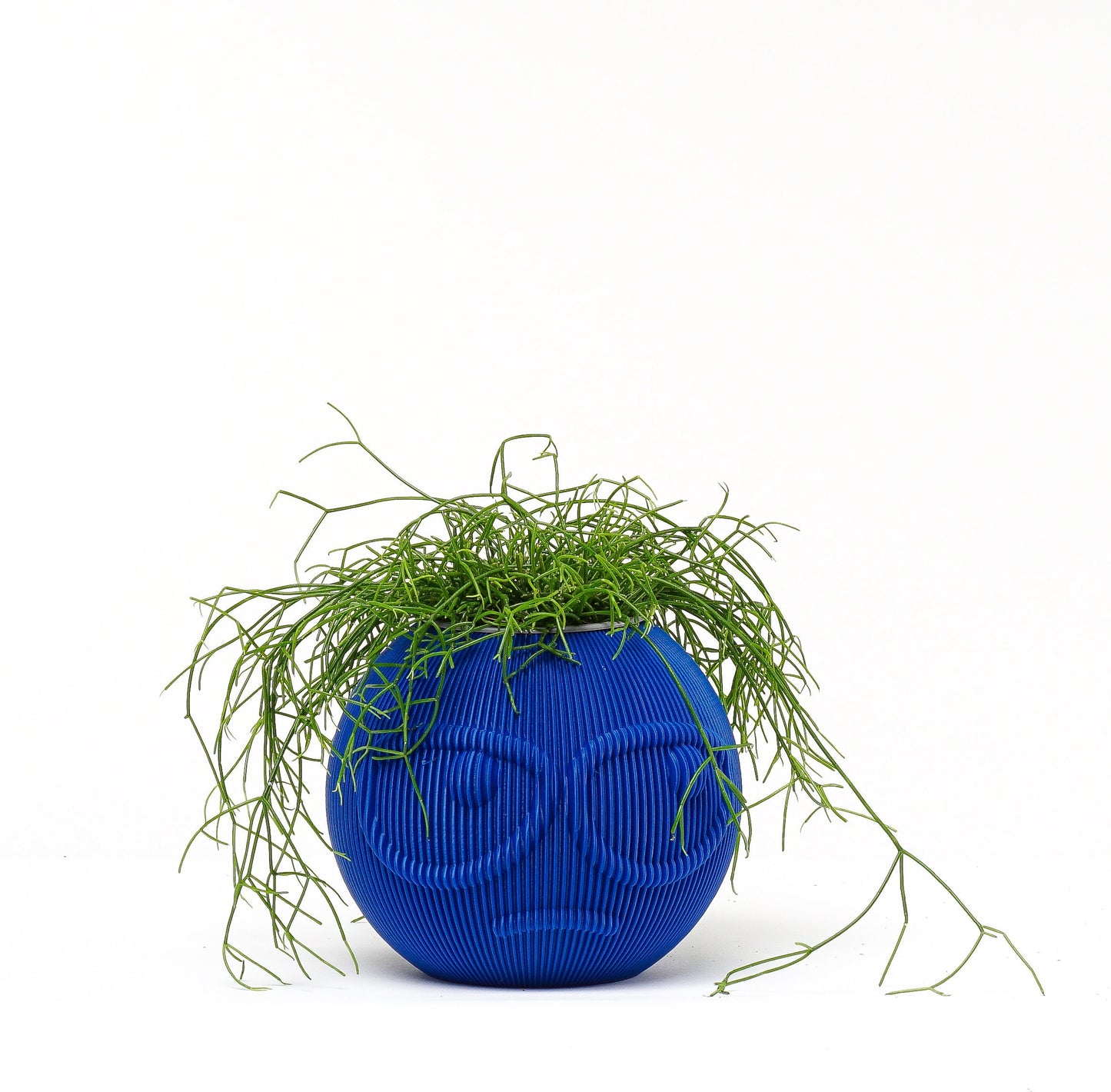 Suspicious Face Vase: Quirky Plant Holder