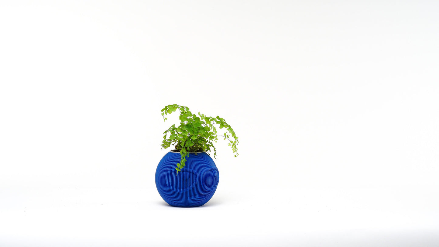 Suspicious Face Vase: Quirky Plant Holder