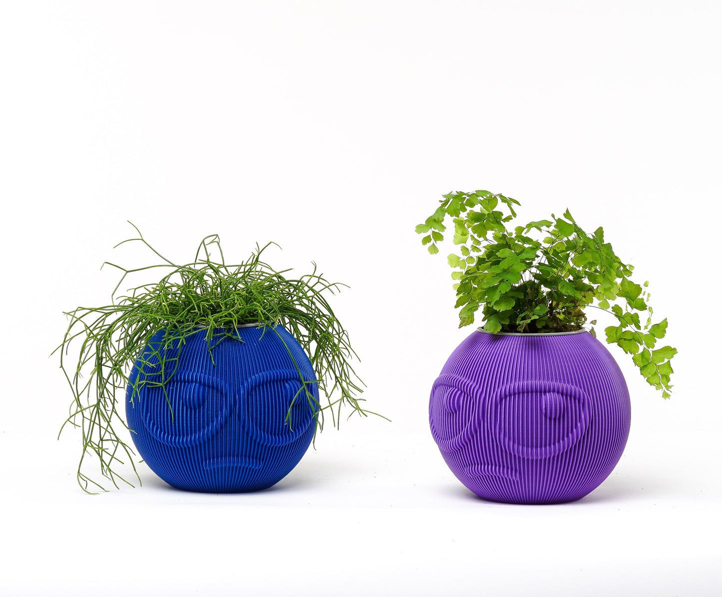 Suspicious Face Vase: Quirky Plant Holder