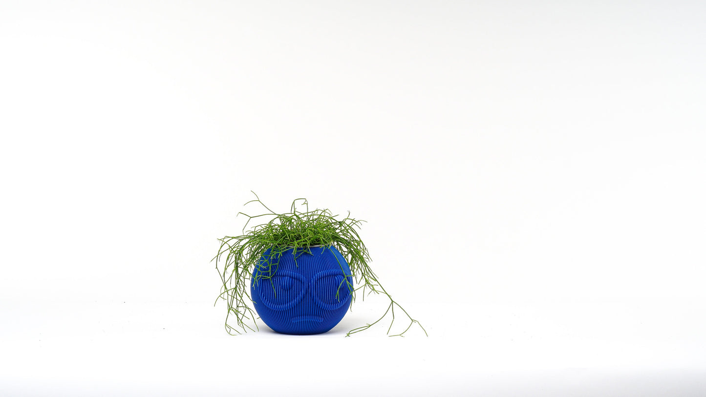 Suspicious Face Vase: Quirky Plant Holder