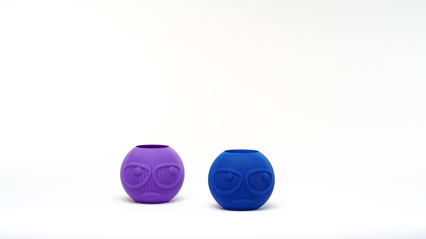 Suspicious Face Vase: Quirky Plant Holder