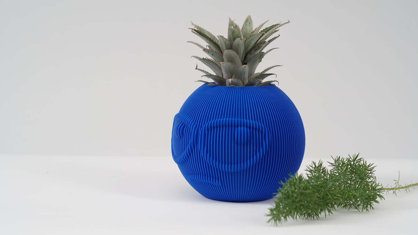 Suspicious Face Vase: Quirky Plant Holder