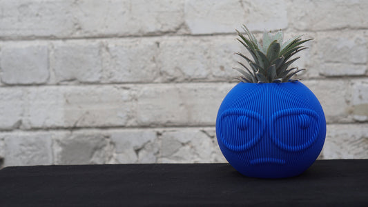 Suspicious Face Vase: Quirky Plant Holder